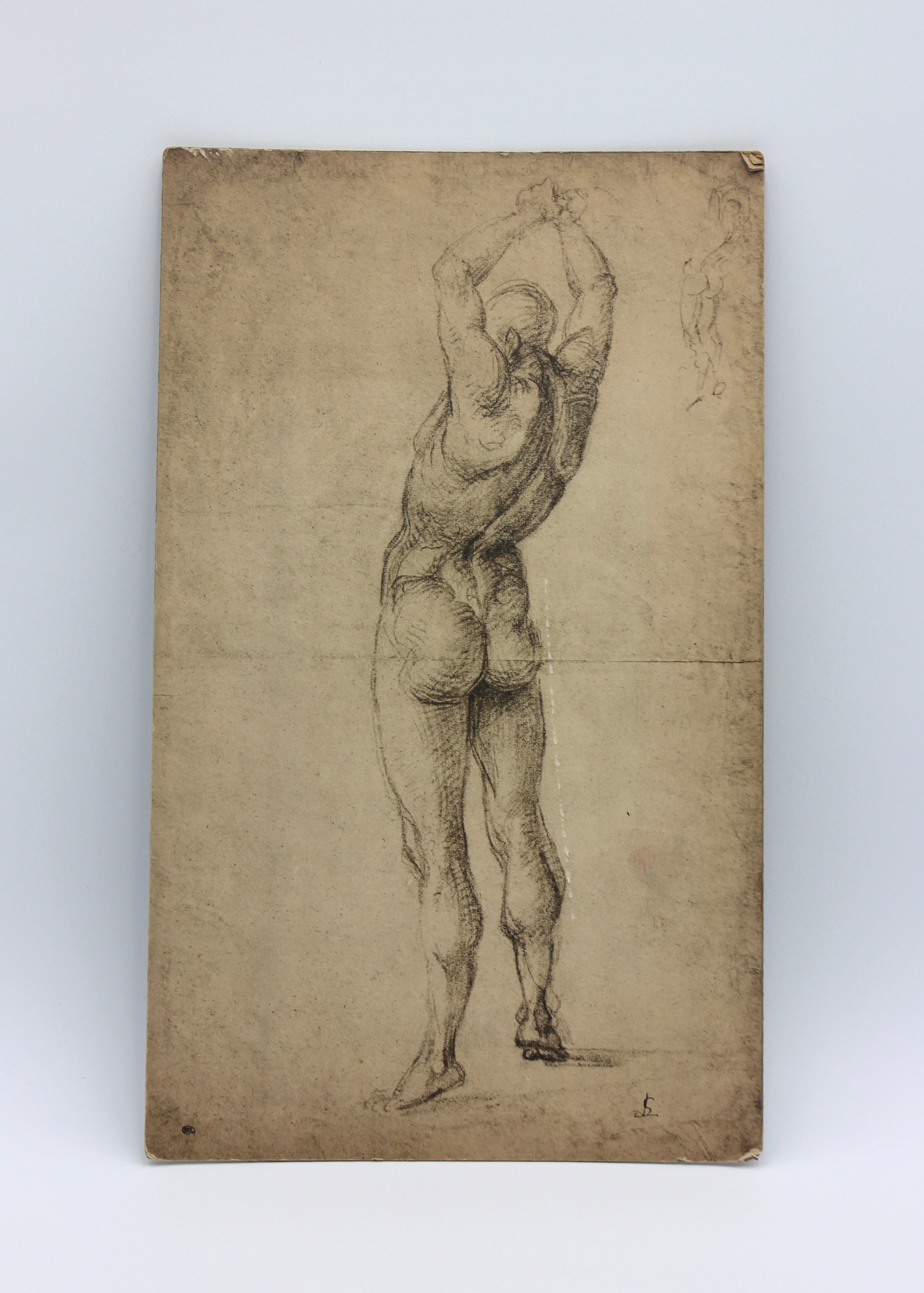 Nude Male Sketch