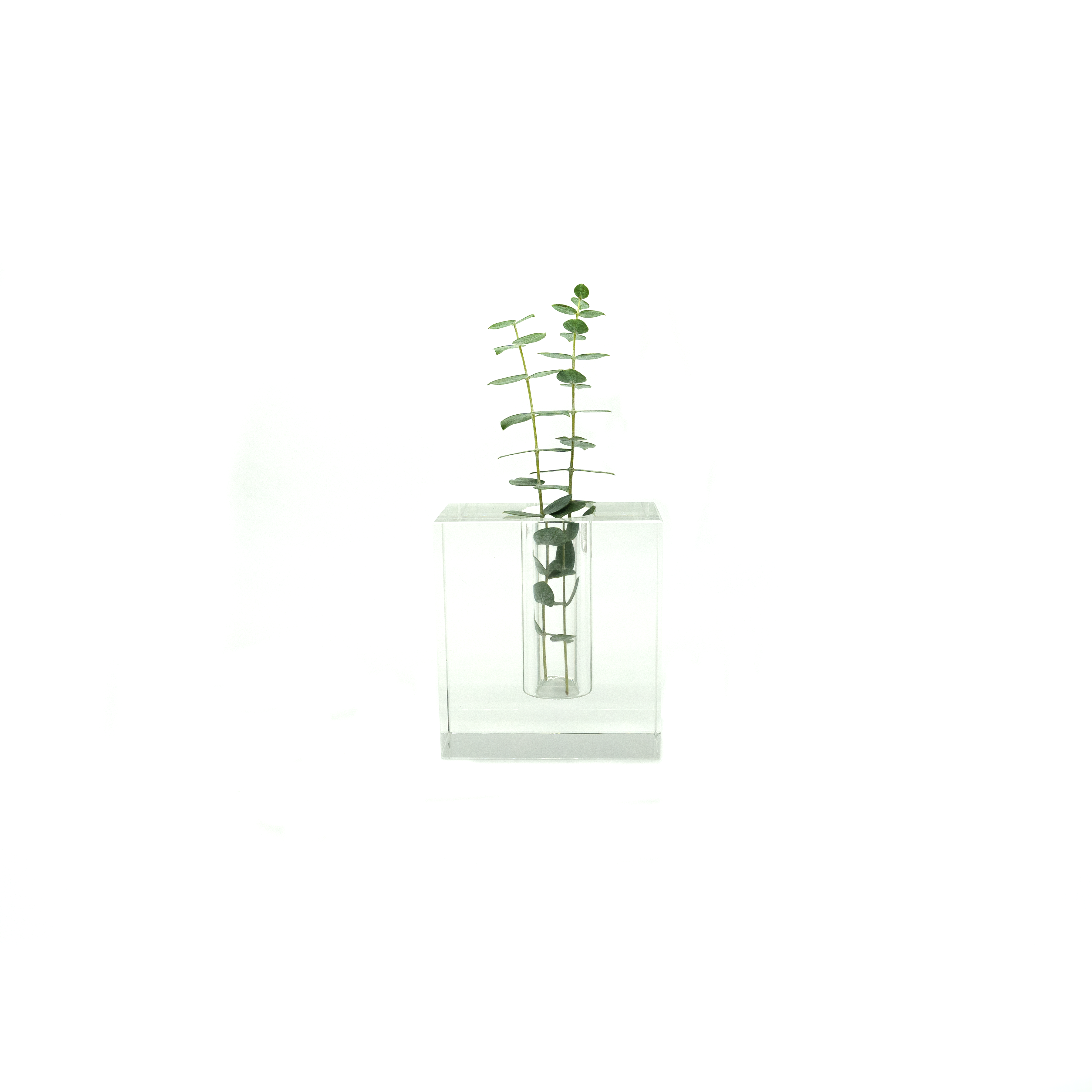 Petite Glass Bud Vase